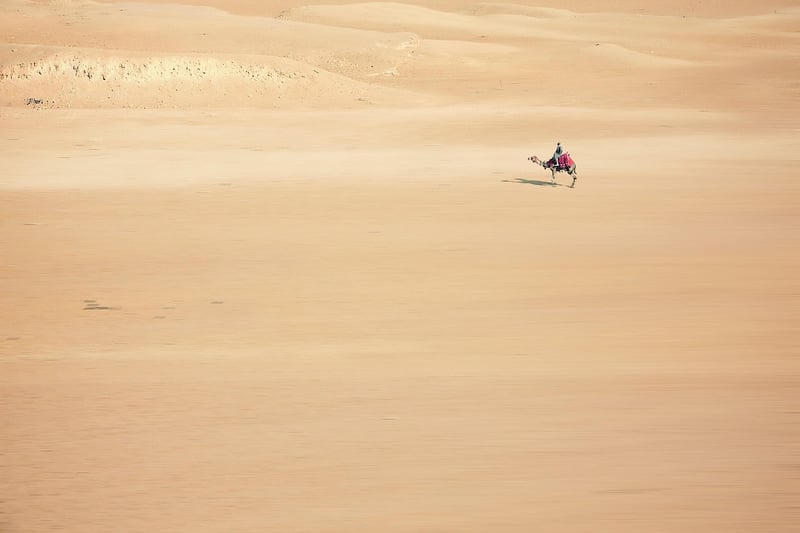 Ancient Egypt Expedition